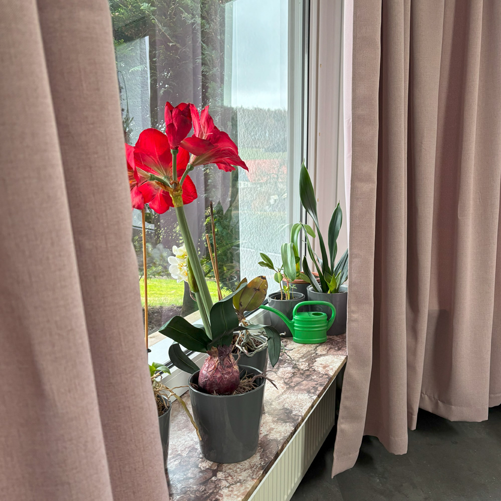 Wohnzimmer 5